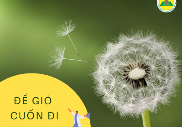 Để gió cuốn đi