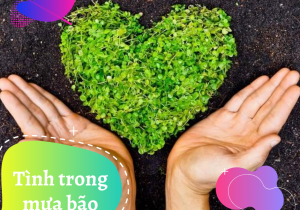 Tình trong mưa bão
