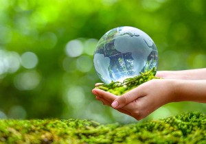 Giấy phép môi trường