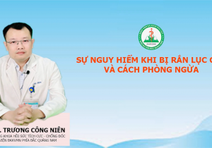 Chương trình TVSK: Rắn lục cắn